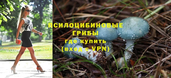 круглые Алексин