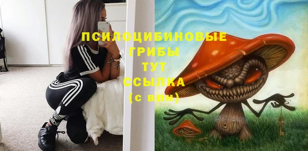 соль ск Алзамай